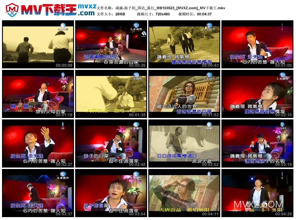 成威-浪子泪_国语_流行_MB103523